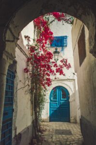 Ulice v Tunisku